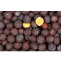 Mustard seeds